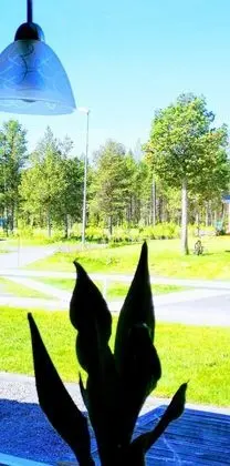 Comfort Ev, Tepe Manzaralı