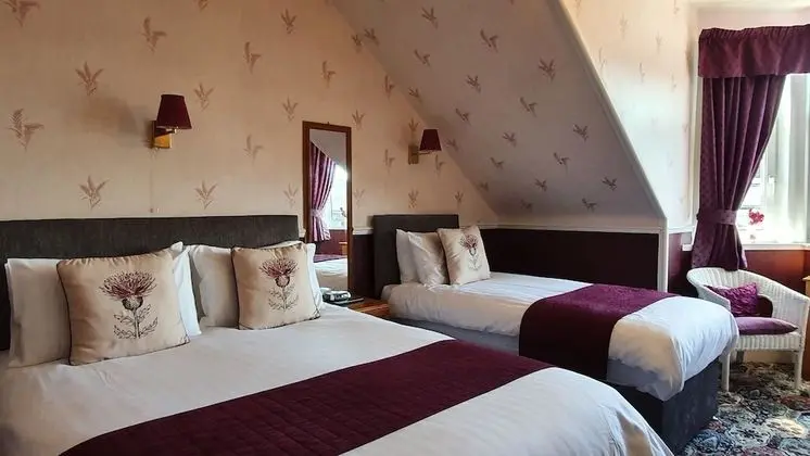 Üç Kişilik Oda, Banyolu/Duşlu (Room 7)