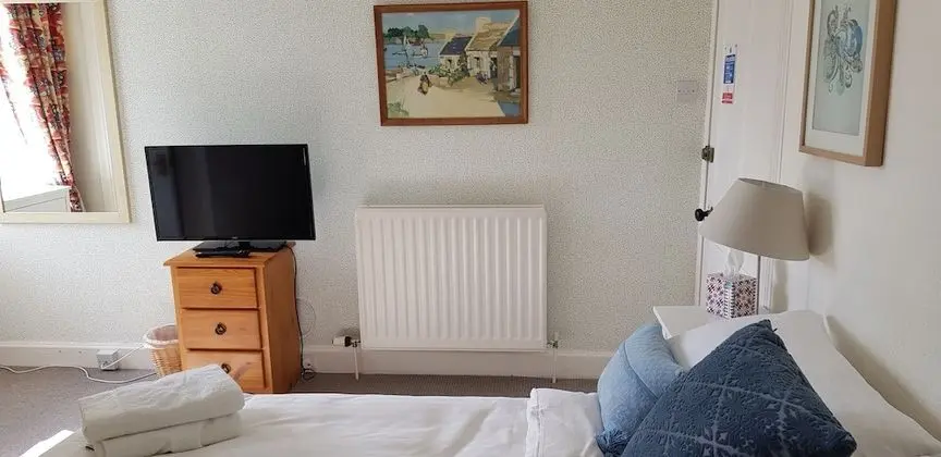 Standard Tek Büyük Yataklı Oda, 1 Çift Kişilik Yatak