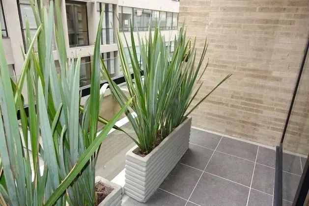 Business Daire, Sigara İçilmez, Balkon