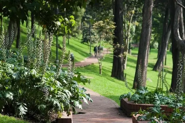 Premium Daire, Sigara İçilmez, Balkon