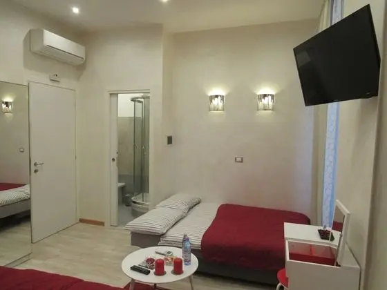 Superior Tek Büyük veya İki Ayrı Yataklı Oda (4)