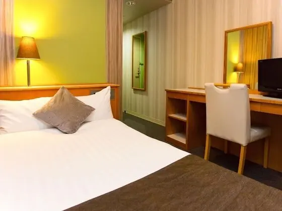 Economy Tek Büyük Yataklı Oda, Sigara İçilmez (for 1 Adult only)