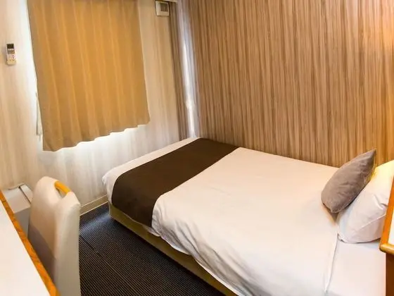 Economy Tek Büyük Yataklı Oda, Sigara İçilmez (for 1 Adult only)