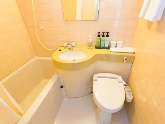 Economy Tek Büyük Yataklı Oda, Sigara İçilmez