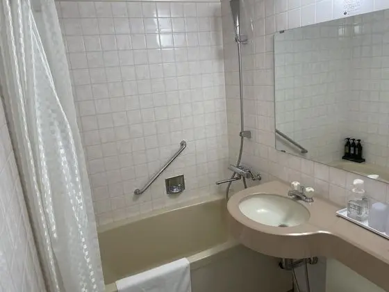 Tek Büyük Yataklı Oda, Sigara İçilmez (25m²)