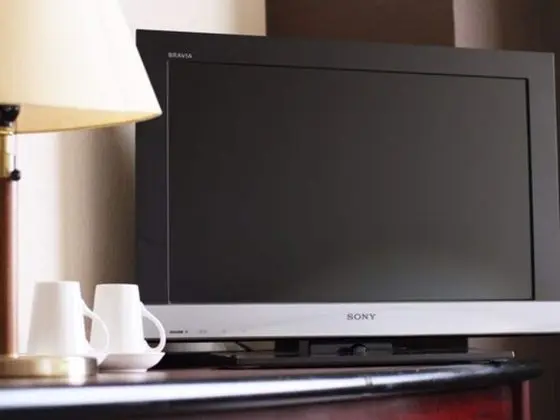 Deluxe İki Ayrı Yataklı Oda, Sigara İçilmez