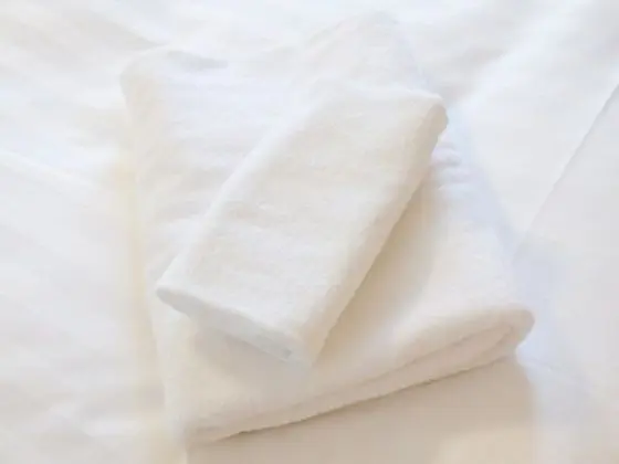 Deluxe İki Ayrı Yataklı Oda, Sigara İçilmez