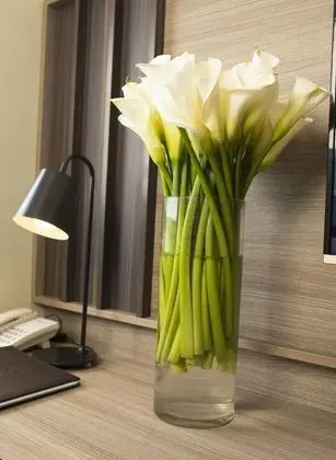 Deluxe Tek Büyük veya İki Ayrı Yataklı Oda, Şehir Manzaralı