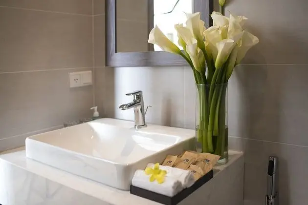 Deluxe Tek Büyük veya İki Ayrı Yataklı Oda, Şehir Manzaralı