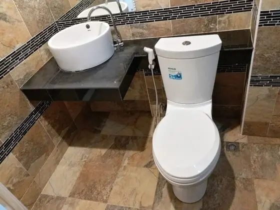 Süit