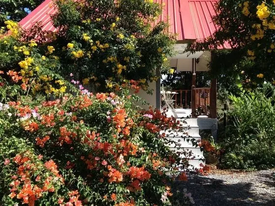 Superior Bungalov, 1 Çift Kişilik Yatak, Sigara İçilmez, Resort Manzaralı