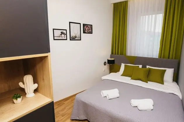 Apart Daire, 1 Yatak Odası (9)