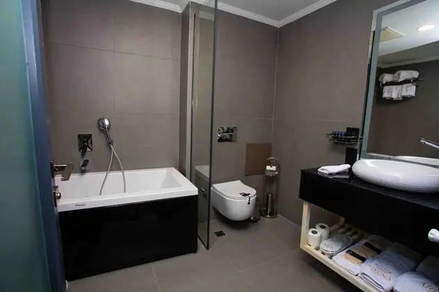 Suite, Park Manzaralı