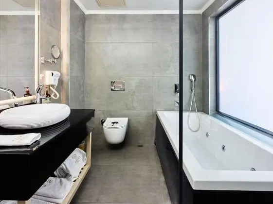 Suite, Park Manzaralı