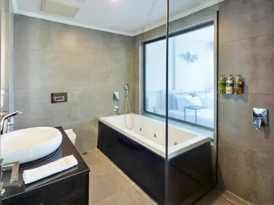 Suite, Park Manzaralı