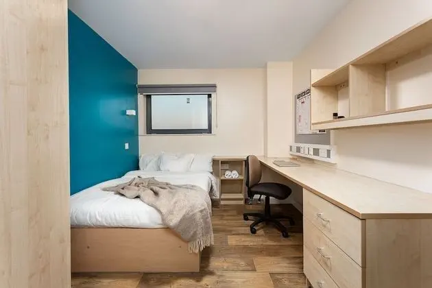 Economy Oda, 1 Tek Kişilik XL Yatak, Şehir Manzaralı