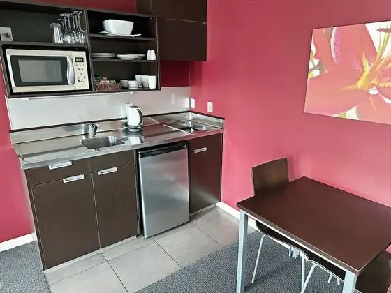 Executive Stüdyo, Sigara İçilmez, Küçük Mutfak (Executive studio suite)