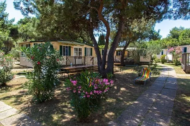 Karavan, 2 Yatak Odası, Teras