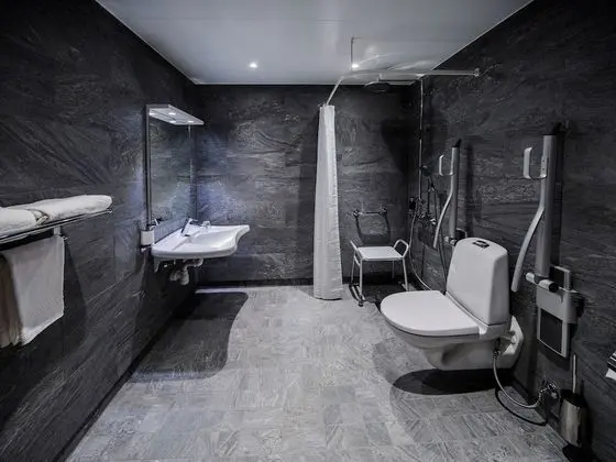 Oda, Engellilere Uygun (Dog Friendly)