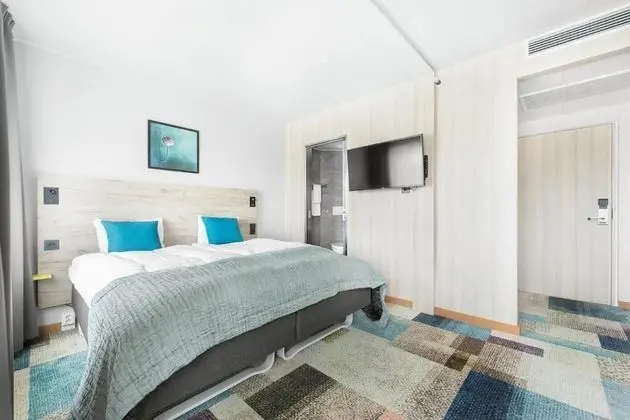 Tek Büyük Yataklı Oda (Dog Friendly)