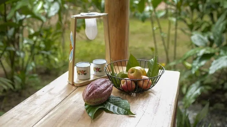 Classic Kulübe, Birden Çok Yatak, Sigara İçilmez