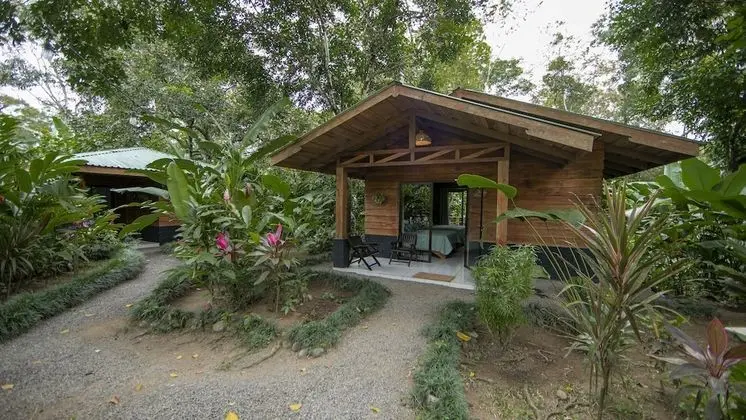 Family Kulübe, 2 Çift Kişilik Yatak, Engellilere Uygun