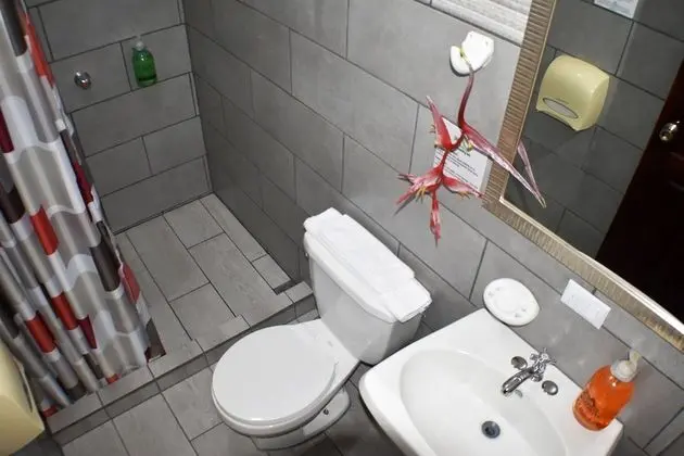 Standard Tek Büyük Yataklı Oda, 2 Çift Kişilik Yatak