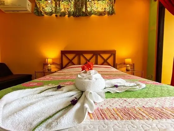 Deluxe Tek Büyük Yataklı Oda, Teras