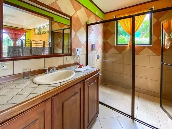 Deluxe Tek Büyük Yataklı Oda, Teras