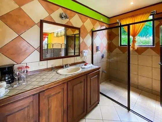 Deluxe Tek Büyük Yataklı Oda, Teras