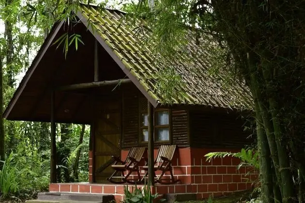 Tek Büyük Yataklı Oda (Bungalow)