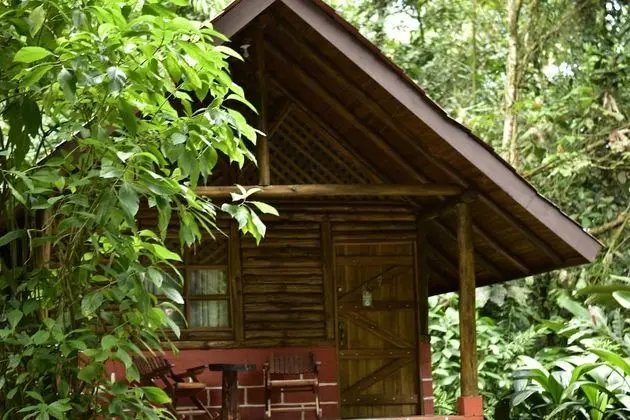 Üç Kişilik Oda (Bungalow)