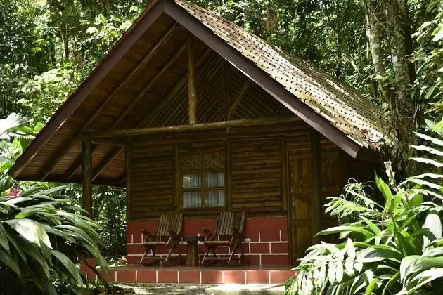 Üç Kişilik Oda (Bungalow)