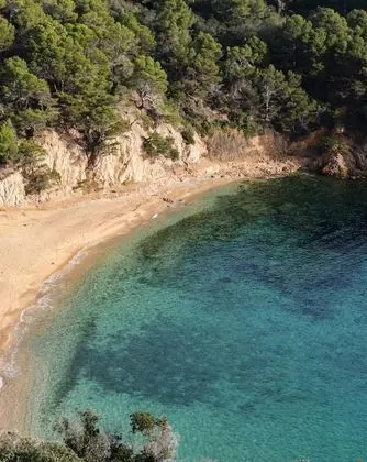 Dubleks, 3 Yatak Odası, Bahçe Manzaralı (ZEL, 6+2)