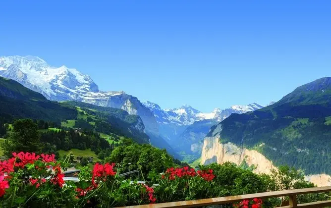 Panoramic Tek Büyük Yataklı Oda, Dağ Manzaralı (Jungfrau)