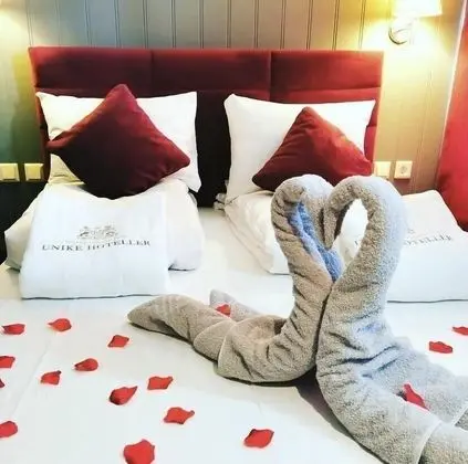 Tek Büyük Yataklı Oda