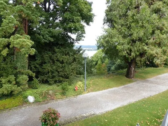 Standard Oda, Kısmi Göl Manzaralı