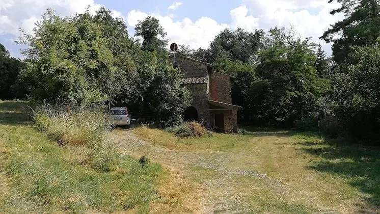 Çatı Katı (Loft), 1 Yatak Odası