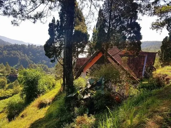 Standard Oda, 1 Yatak Odası, Teras, Dağ Manzaralı