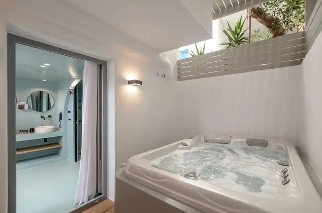 Basic Suite (Orpheus Semi-basement, Steam Bath, Outdoor Hot tub)