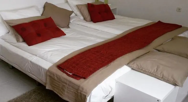 Junior Tek Büyük veya İki Ayrı Yataklı Oda, Dağ Manzaralı