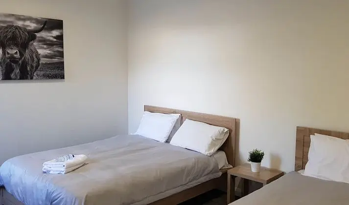 Standard Üç Kişilik Oda, Birden Çok Yatak, Ortak Banyo