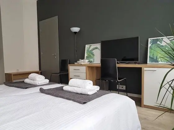 Tek Büyük veya İki Ayrı Yataklı Oda (3)