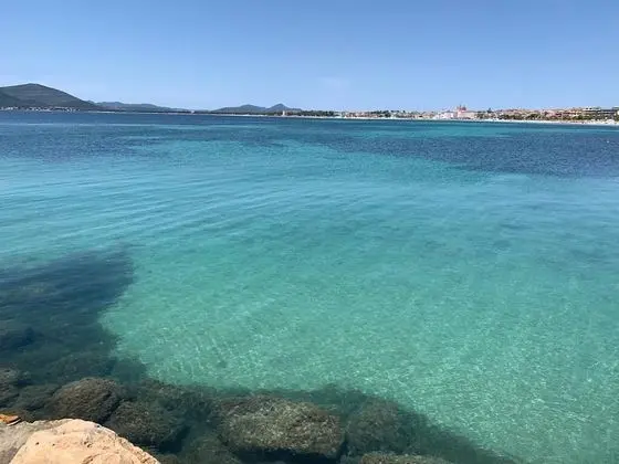 Apart Daire, 2 Yatak Odası, Sigara İçilebilir, Balkon