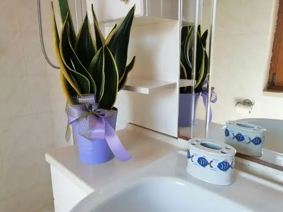 Comfort Apart Daire, 1 Yatak Odası