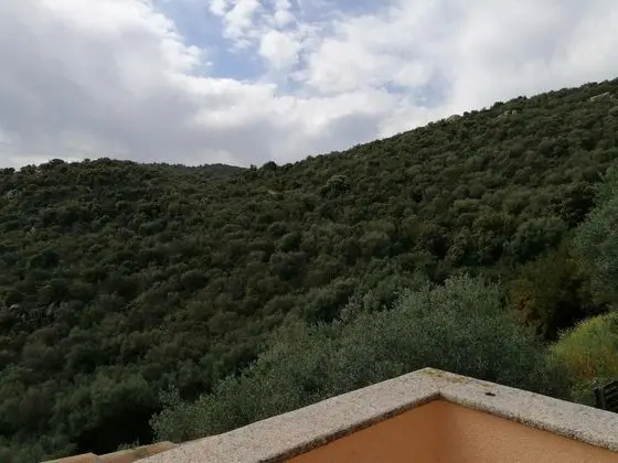 Panoramic Apart Daire