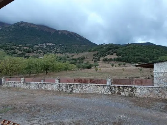 Classic Stüdyo