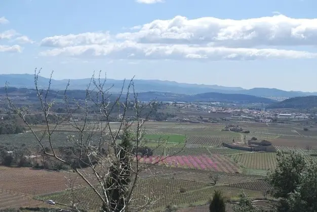 Romantic Tek Büyük Yataklı Oda, 1 Büyük (Queen) Boy Yatak, Banyolu/Duşlu, Vadi Manzaralı