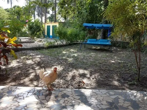 Standard Tek Büyük veya İki Ayrı Yataklı Oda, 2 Tek Kişilik Yatak, Sigara İçilmez, Bahçe Manzaralı
